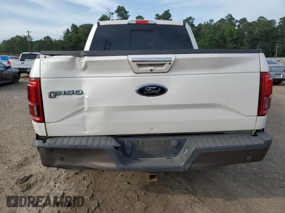 2017 Ford F-150 XL with VIN 1FTEW1EG9HFC80557, listed as a Copart auction lot 65046005 with 226,596 mi miles and Clean title. Bid and sale history available at DreamBid. Image 6.