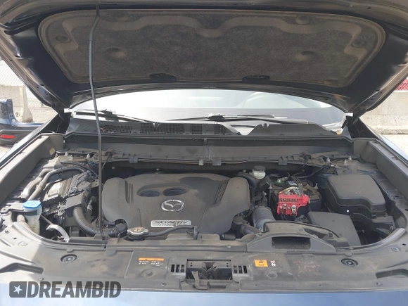 2019 Mazda CX-9 Touring z VIN JM3TCBCY6K0331905, wystawiony jako IAAI lot #42157842 z przebiegiem 84 211 mil mil oraz . Historia ofert i sprzedaży dostępna na DreamBid. Obrazek 10.
