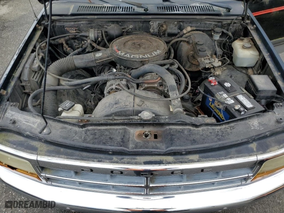 1993 Dodge Dakota with VIN 1B7FL23X4PS285239, listed as a Copart auction lot 46737855 with 172,732 mi miles and Clean Title. Bid and sale history available at carsss.com. Image 11.