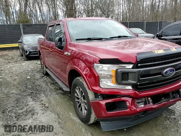 2019 Ford F-150 XL with VIN 1FTEW1EP0KFD31144, listed as a Copart auction lot 46730455 with 48,444 mi miles and Salvage Title. Bid and sale history available at DreamBid. Image 11.