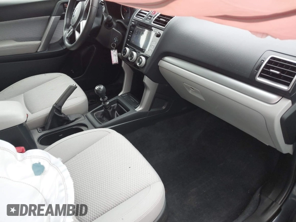 2017 Subaru Forester Premium with VIN JF2SJAEC9HG505912, listed as a IAAI auction lot 41165598 with 116,435 mi miles. Bid and sale history available at carsss.com. Image 5.