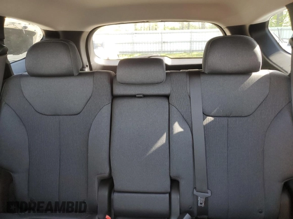 2020 Hyundai Santa Fe SE with VIN 5NMS2CAD1LH166747, listed as a Copart auction lot 57093145 with 62,744 mi miles and Salvage title. Bid and sale history available at DreamBid. Image 10.
