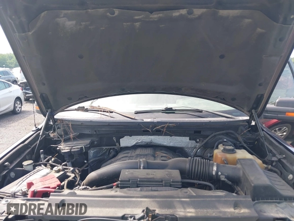 2011 Ford F-150 XLT with VIN 1FTFW1ET7BFB36188, listed as a IAAI auction lot 42669037 with Not provided miles and . Bid and sale history available at DreamBid. Image 10.