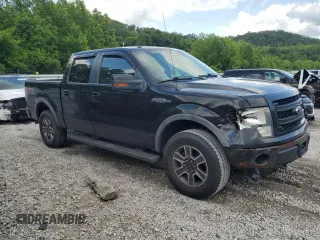 2013 Ford F-150 XL with VIN 1FTFW1EF5DKD04673, listed as a Copart auction lot 60316705 with 308,347 mi miles and Salvage title. Bid and sale history available at DreamBid. Image 4.