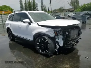 2023 Kia Telluride SX z VIN 5XYP54GC5PG334276, wystawiony jako Copart lot #60666075 z przebiegiem 44 447 mil mil oraz Szkoda całkowita • Salvage title. Historia ofert i sprzedaży dostępna na DreamBid. Obrazek 14.