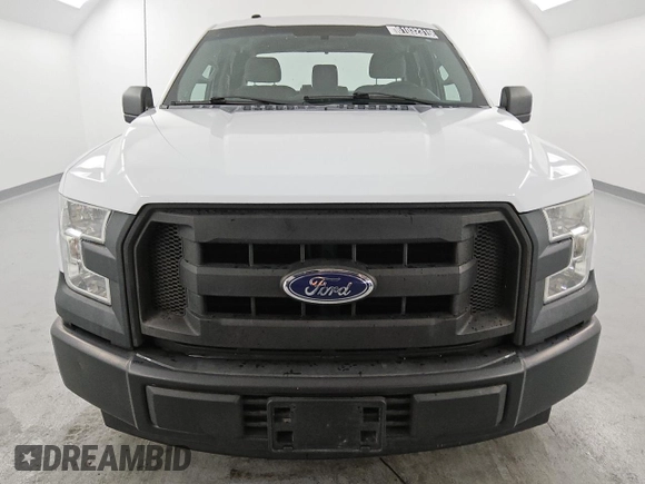 2017 Ford F-150 XL with VIN 1FTEX1CF8HKC50013, listed as a Copart auction lot 61032315 with 126,348 mi miles and Clean title. Bid and sale history available at DreamBid. Image 5.