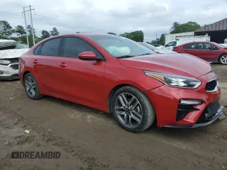 2019 Kia Forte S z VIN 3KPF34AD9KE049752, wystawiony jako Copart lot #51481345 z przebiegiem 104 508 mil mil oraz Szkoda całkowita • Salvage title. Historia ofert i sprzedaży dostępna na DreamBid. Obrazek 4.