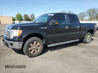 2013 Ford F-150 XL with VIN 1FTFW1EF9DFD39306, listed as a Copart auction lot 54364385 with 300,615 mi miles and Salvage Title. Bid and sale history available at carsss.com. Image 1.