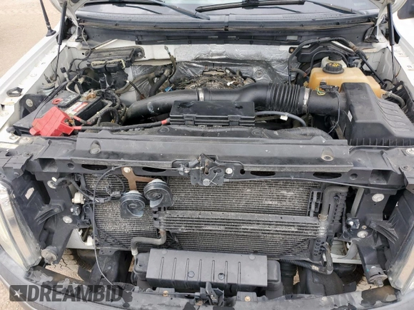 2012 Ford F-150 XL with VIN 1FTFX1ET2CFD02180, listed as a Copart auction lot 61810405 with 218,459 mi miles and Clean title. Bid and sale history available at DreamBid. Image 13.