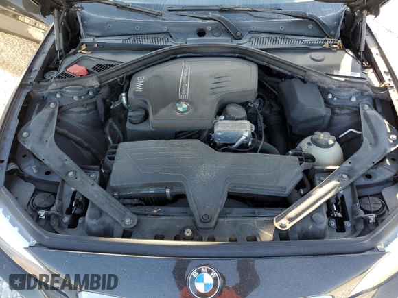 2016 BMW 2 Series 228i with VIN WBA1K9C59GV321555, listed as a Copart auction lot 49504985 with 124,471 mi miles and Salvage Title. Bid and sale history available at carsss.com. Image 11.