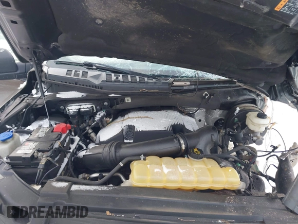 2017 Ford F-150 XL with VIN 1FTFX1EG1HFC74818, listed as a IAAI auction lot 41235975 with 47,000 mi miles. Bid and sale history available at carsss.com. Image 10.