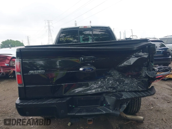 2014 Ford F-150 XL with VIN 1FTFW1ET6EFD06920, listed as a IAAI auction lot 42384930 with 135,776 mi miles and . Bid and sale history available at DreamBid. Image 16.