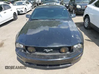 2008 Ford Mustang GT Deluxe with VIN 1ZVHT82H385184552, listed as a IAAI auction lot 42160325 with 212,582 mi miles and . Bid and sale history available at carsss.com. Image 11.