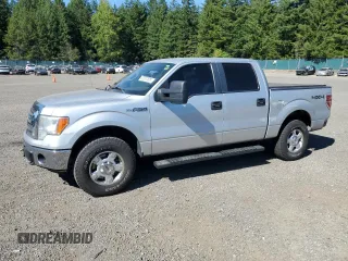 2010 Ford F-150 XL z VIN 1FTFW1EVXAKE18817, wystawiony jako Copart lot #65587505 z przebiegiem 263 149 mil mil oraz Szkoda całkowita • Salvage title. Historia ofert i sprzedaży dostępna na DreamBid. Obrazek 1.