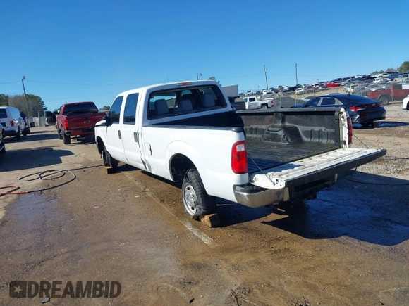 2012 Ford F-250 XL with VIN 1FT7W2B64CEA10404, listed as a IAAI auction lot 41375436 with 257,118 mi miles and . Bid and sale history available at DreamBid. Image 3.