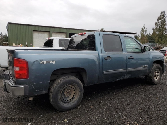 2010 Chevrolet Silverado 1500 LS with VIN 3GCRKREA9AG217583, listed as a Copart auction lot 80737604 with 247,654 mi miles and Clean Title. Bid and sale history available at carsss.com. Image 3.