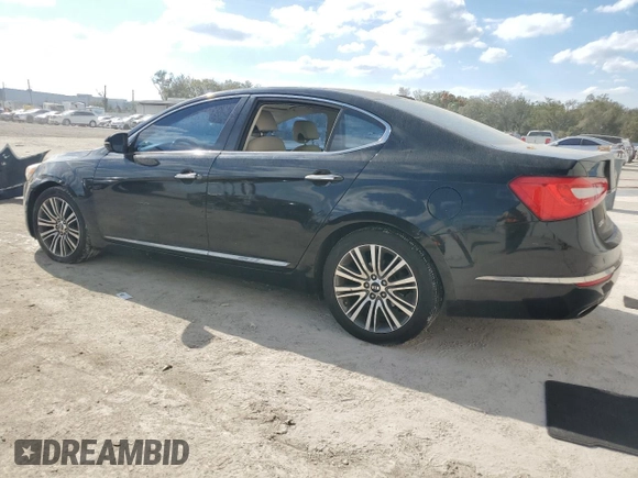 2014 Kia Cadenza Premium with VIN KNALN4D79E5120531, listed as a Copart auction lot 45104745 with Not Provided miles and Salvage Title. Bid and sale history available at DreamBid. Image 2.