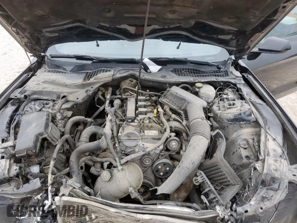 2021 Ford Mustang EcoBoost with VIN 1FA6P8TH7M5126618, listed as a Copart auction lot 58210555 with Not provided miles and Salvage title. Bid and sale history available at DreamBid. Image 11.