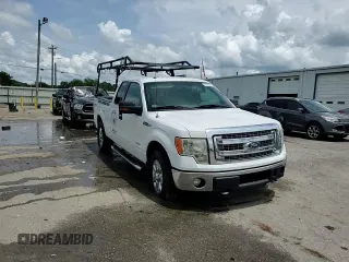 2013 Ford F-150 XL with VIN 1FTFX1ET4DFD75388, listed as a Copart auction lot 60326025 with 230,578 mi miles and Salvage title. Bid and sale history available at DreamBid. Image 13.
