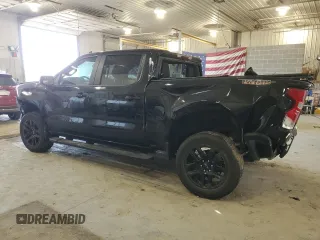 2023 Chevrolet Silverado 1500 LT Trail Boss with VIN 3GCUDFE82PG128916, listed as a Copart auction lot 48507705 with 46,206 mi miles and Salvage Title. Bid and sale history available at DreamBid. Image 2.