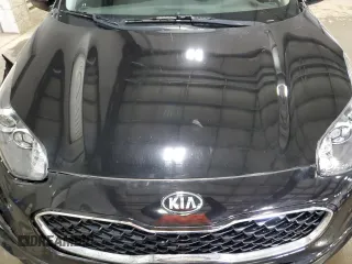 2022 Kia Sportage LX with VIN KNDPMCAC5N7022359, listed as a Copart auction lot 51053515 with Not Provided miles and Salvage Title. Bid and sale history available at carsss.com. Image 12.