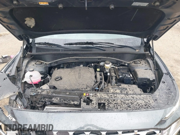 2023 Hyundai Santa Fe SEL with VIN 5NMS3DAJ6PH608467, listed as a IAAI auction lot 41957185 with 8,672 mi miles and . Bid and sale history available at DreamBid. Image 10.