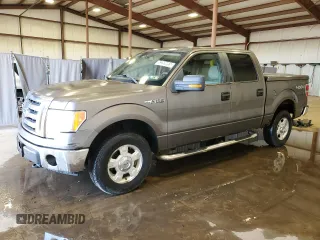 2009 Ford F-150 XL with VIN 1FTRW14879FB39001, listed as a Copart auction lot 53269955 with 123,871 mi miles and Clean Title. Bid and sale history available at carsss.com. Image 1.