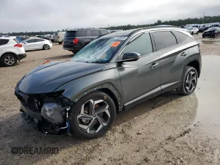 2023 Hyundai Tucson Limited with VIN 5NMJE3AE7PH260195, listed as a Copart auction lot 55996025 with 10,295 mi miles and Salvage title. Bid and sale history available at DreamBid. Image 1.