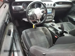 2019 Ford Mustang GT with VIN 1FA6P8CF5K5134342, listed as a Copart auction lot 55437245 with 48,918 mi miles and Salvage title. Bid and sale history available at DreamBid. Image 8.