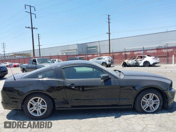2014 Ford Mustang V6 z VIN 1ZVBP8AM5E5304212, wystawiony jako IAAI lot #42349481 z przebiegiem 18 478 mil mil oraz . Historia ofert i sprzedaży dostępna na DreamBid. Obrazek 13.