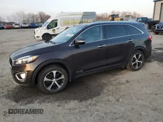 2017 Kia Sorento EX with VIN 5XYPHDA57HG307373, listed as a Copart auction lot 48811185 with 105,447 mi miles and Salvage Title. Bid and sale history available at DreamBid. Image 1.
