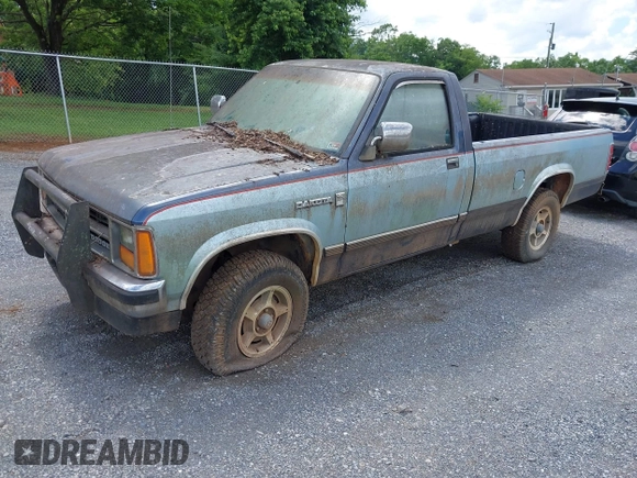 1987 Dodge Dakota с VIN 1B7GR14M9HS404759, выставлен на аукционе IAAI как лот 42513734 с пробегом 95 125 миль миль и . История ставок и продаж доступна на DreamBid. Изображение 2.