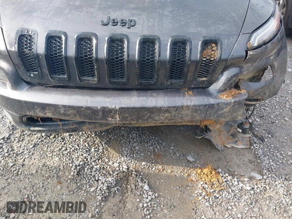 2018 Jeep Cherokee Latitude with VIN 1C4PJLCB4JD513885, listed as a IAAI auction lot 42091548 with 161,339 mi miles and . Bid and sale history available at DreamBid. Image 6.