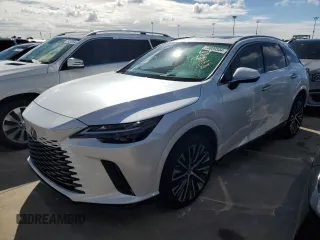 2024 Lexus RX with VIN 2T2BBMCA8RC039688, listed as a Copart auction lot 73809504 with Not Provided miles and Non Repairable. Bid and sale history available at carsss.com. Image 1.