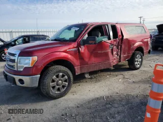 2013 Ford F-150 XL with VIN 1FTFX1EF5DFB28942, listed as a Copart auction lot 46464675 with 214,533 mi miles and Non Repairable. Bid and sale history available at carsss.com. Image 1.