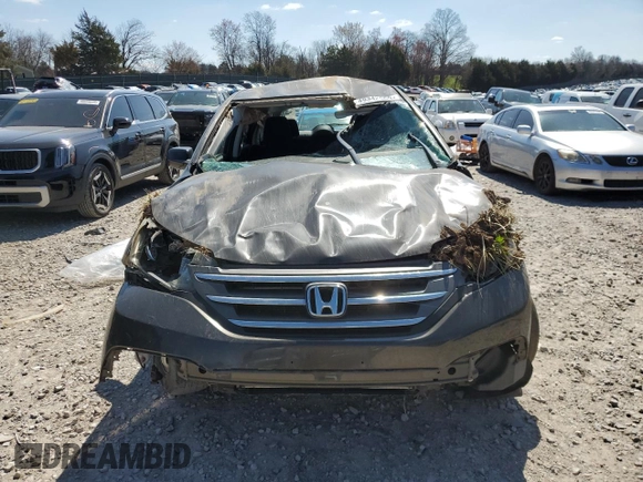 2014 Honda CR-V LX with VIN 5J6RM4H31EL018749, listed as a Copart auction lot 49342665 with 0 mi miles and Salvage Title. Bid and sale history available at carsss.com. Image 5.
