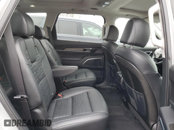 2022 Kia Telluride SX with VIN 5XYP5DHC3NG288104, listed as a Copart auction lot 52617285 with 30,312 mi miles and Salvage Title. Bid and sale history available at DreamBid. Image 11.