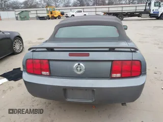 2006 Ford Mustang Standard with VIN 1ZVFT84N565190246, listed as a IAAI auction lot 41532901 with 209,885 mi miles and . Bid and sale history available at carsss.com. Image 17.