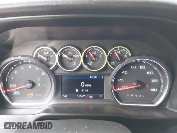 2020 Chevrolet Silverado 1500 LT with VIN 1GCRYDED5LZ261062, listed as a IAAI auction lot 42123904 with 115,407 mi miles. Bid and sale history available at carsss.com. Image 7.