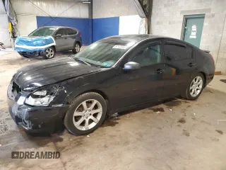 2007 Nissan Maxima 3.5 SL with VIN 1N4BA41E47C843494, listed as a Copart auction lot 54142095 with 223,980 mi miles and Salvage Title. Bid and sale history available at carsss.com. Image 1.