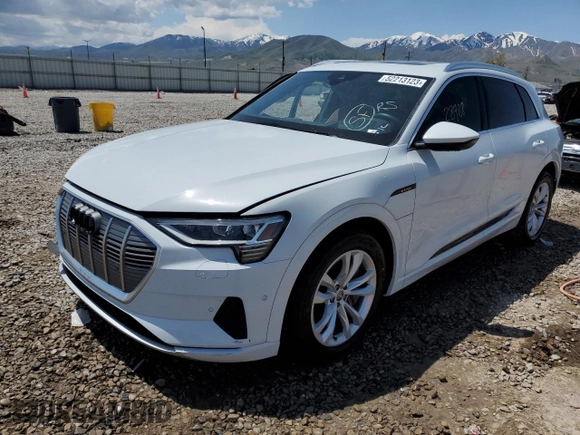2019 Audi e-tron Prestige with VIN WA1VABGE8KB022801, listed as a Copart auction lot 52213123 with 28,988 mi miles. Bid and sale history available at carsss.com. Image 1.