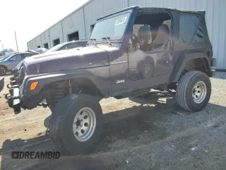 1998 Jeep Wrangler SE with VIN 1J4FY29P0WP784334, listed as a Copart auction lot 52384075 with 0 mi miles and Salvage Title. Bid and sale history available at carsss.com. Image 1.
