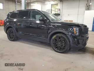 2022 Kia Telluride SX with VIN 5XYP5DHC1NG282155, listed as a Copart auction lot 53046715 with 43,921 mi miles and Salvage title. Bid and sale history available at DreamBid. Image 4.