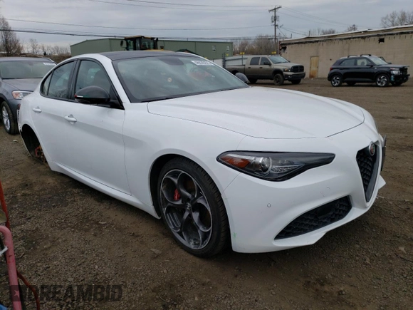 2019 Alfa Romeo Giulia with VIN ZARFANANXK7622362, listed as a Copart auction lot 46535223 with 28,946 mi miles. Bid and sale history available at carsss.com. Image 4.