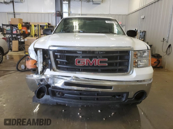 2009 GMC Sierra 1500 with VIN 1GTEK24C49Z239804, listed as a Copart auction lot 41466735 with 175,019 mi miles and Clean Title. Bid and sale history available at DreamBid. Image 5.