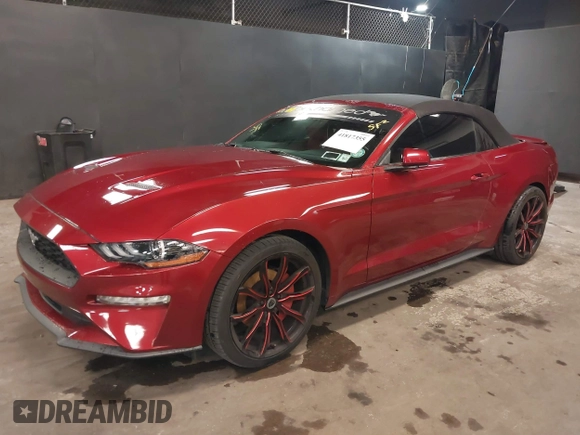 2019 Ford Mustang EcoBoost with VIN 1FATP8UH2K5205502, listed as a IAAI auction lot 41817355 with 42,789 mi miles and . Bid and sale history available at carsss.com. Image 2.
