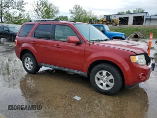 2010 Ford Escape Limited with VIN 1FMCU0E71AKB54080, listed as a Copart auction lot 55175795 with 246,064 mi miles and Salvage title. Bid and sale history available at DreamBid. Image 4.
