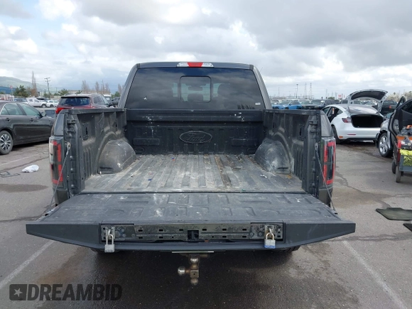 2016 Ford F-150 XLT with VIN 1FTEW1EF7GKD44723, listed as a IAAI auction lot 41939497 with 110,670 mi miles. Bid and sale history available at carsss.com. Image 16.