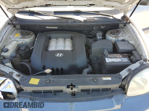 2006 Hyundai Santa Fe GLS with VIN KM8SC73D06U109403, listed as a Copart auction lot 49452365 with 138,445 mi miles and Salvage Title. Bid and sale history available at carsss.com. Image 12.