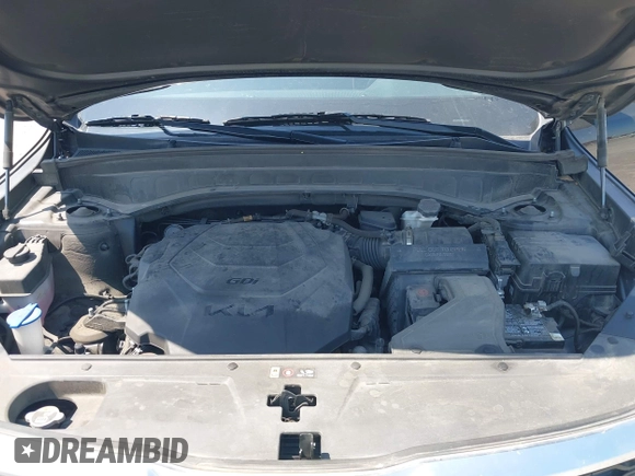 2022 Kia Telluride S with VIN 5XYP64HC1NG227783, listed as a IAAI auction lot 41897694 with 95,713 mi miles and . Bid and sale history available at DreamBid. Image 10.